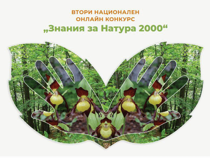 Близо 3000 души участваха във Втория национален онлайн конкурс „Знания за Натура 2000“