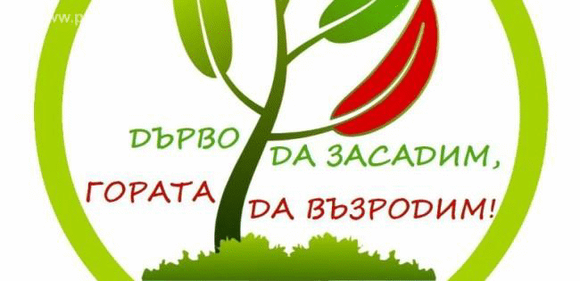 Президентът: Българската гора не е само национално богатство, а част от националната ни памет и идентичност