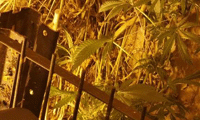 МВР