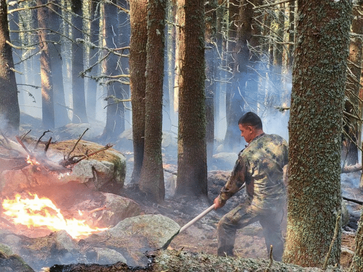 Пореден ден военнослужещи от Сухопътните войски и Военновъздушните сили продължават да помагат за овладяването на пожара в Рила планина