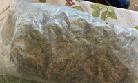 МВР