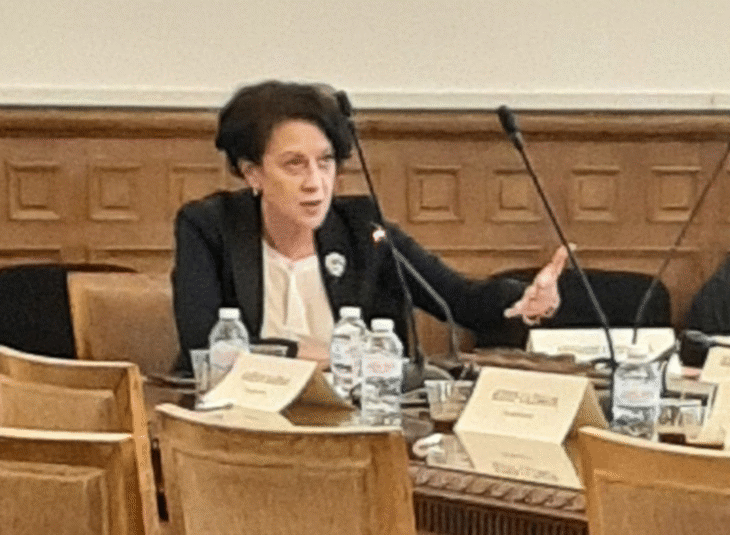 Народните представители от Комисията по политиките за българите извън страната се запознаха със състоянието на 11-те български културни института в чужбина