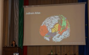 Тримерен анатомичен атлас на човешкия мозък показаха в БАН по проект „Човешкият мозък“ (The Human Brain Project)