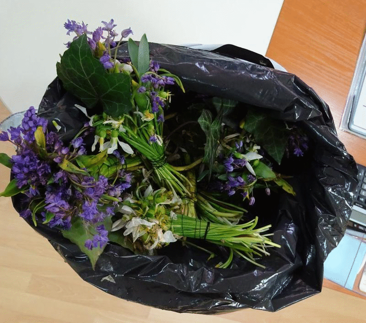 89 букетчета от ранно цъфтящи видове конфискува РИОСВ – Русе