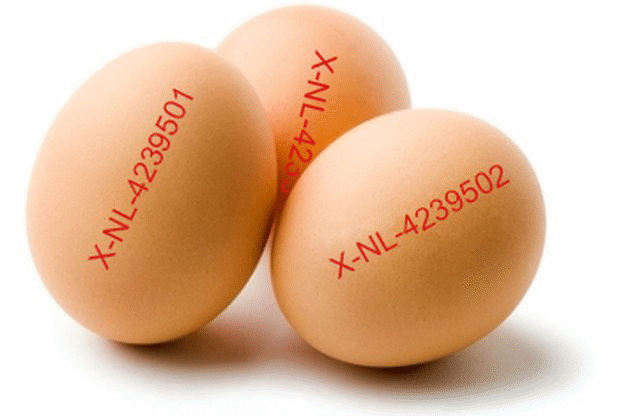 Няма опасни яйца и яйчни продукти на българския пазар