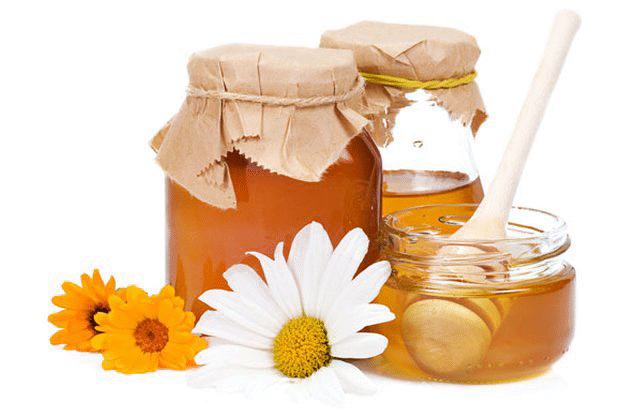 Поздравителен адрес от министъра на земеделието и храните Десислава Танева по повод Професионалния празник на пчеларя