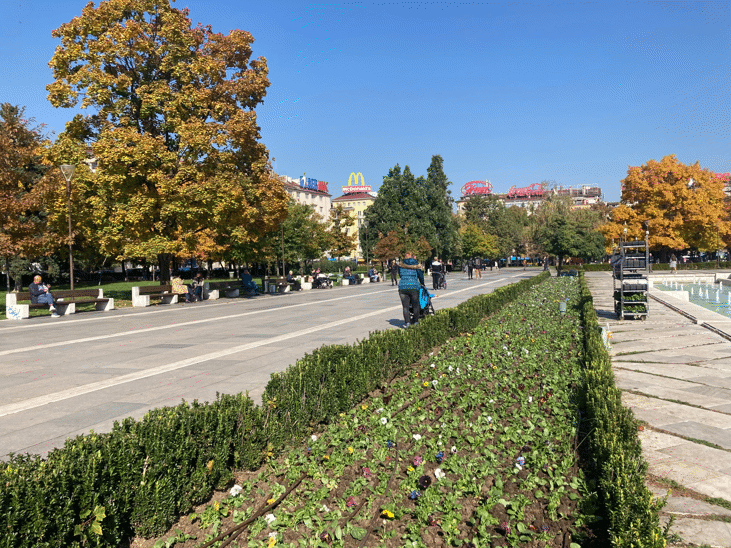 Започна есенното-пролетно зацветяване в градините на София