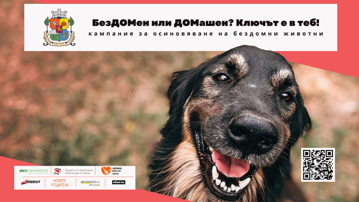 Кампанията „БезДОМен или ДОМашен? Ключът е в теб!“ със 109 осиновени животинки