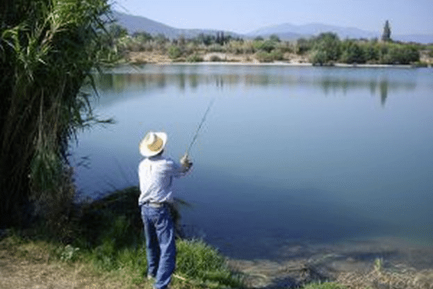 ДФ „Земеделие“ разплати близо 2.8 млн. лева за инвестиции в сектор „Рибарство“