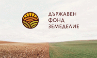 МЗХГ