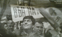 Биволъ