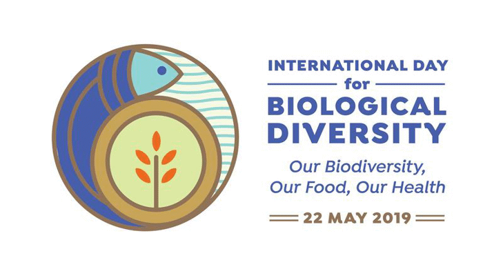 Отбелязваме Международния ден на биологичното разнообразие с акцент върху връзката с човешкото здраве