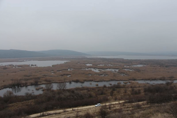 Сребърна очаква зимуващите водолюбиви птици