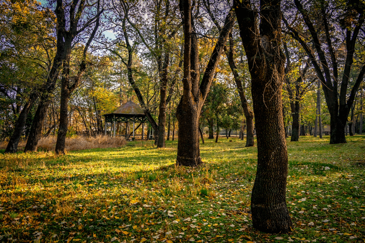 Кметът Васил Терзиев подписа споразумение за разширяване на сътрудничеството с Военната академия