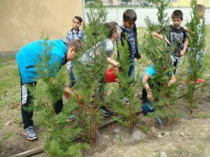 Експерти от РИОСВ-Плевен провериха изпълнението на проекти от кампанията „За чиста околна среда-2016 г.“