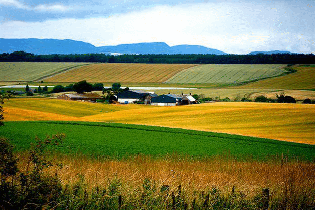 Компенсират с 6 млн. лева земеделските стопани за пропаднали площи