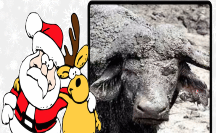 2017 – първите седем години на Биволъ са в историята