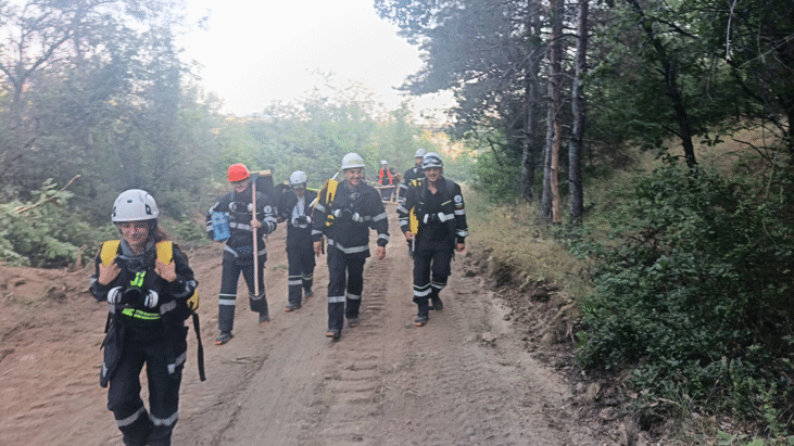 След 15 сигнала за пожари в София до края на юли Столична община благодари на всички екипи и доброволци за усилията им