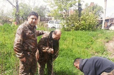 Горски шефове в комбина с криминално проявени унищожават Парк “Българка”