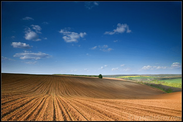 Заместник-министрите на земеделието и храните Васил Грудев и Свилен Костов ще участват на VI-тия Национален агро семинар на НАЗ