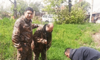 Биволъ