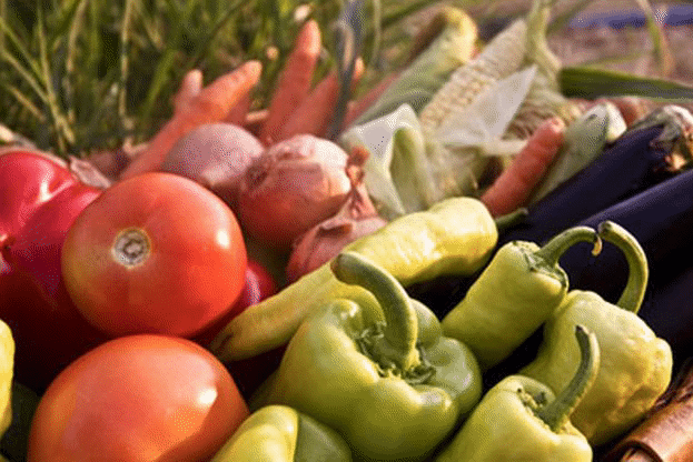 Зеленчукопроизводството ще бъде включено в списъка на обвързаното плащане за следващия период 2015-2020 г.