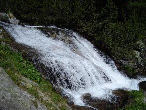 Кризисен щаб в Банско следи нивата на реките в ДНП „Пирин“