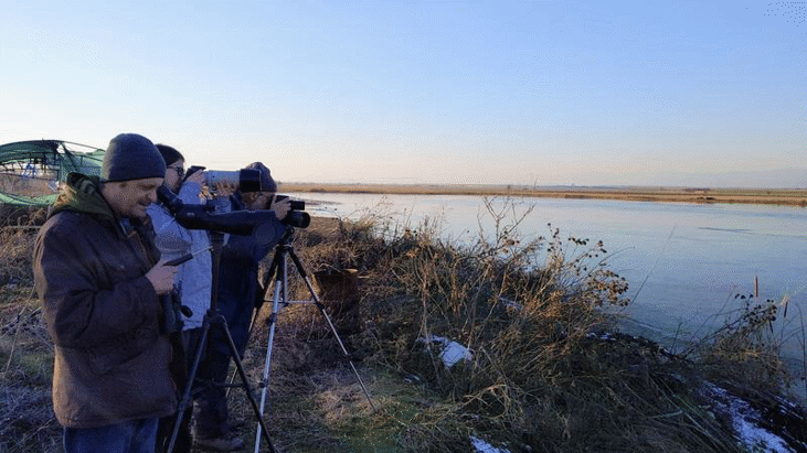 Среднозимното преброяване на зимуващите водолюбиви птици ще се проведе от 16 до 19 януари