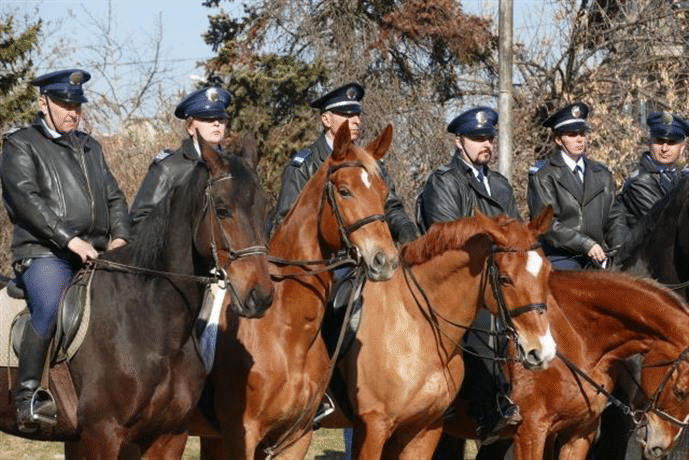 На Тодоровден конни полицаи от СДВР показаха умения в ездата