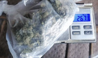 МВР