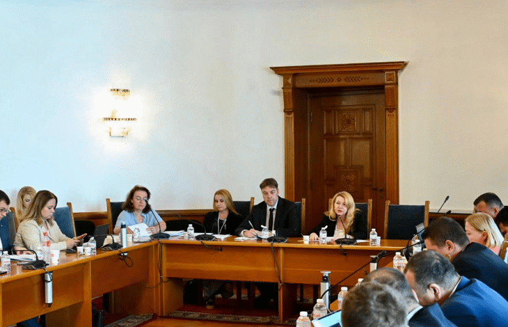 МП: Законопроектът за защита срещу делата шамари получи подкрепа на първо четене от правната комисия