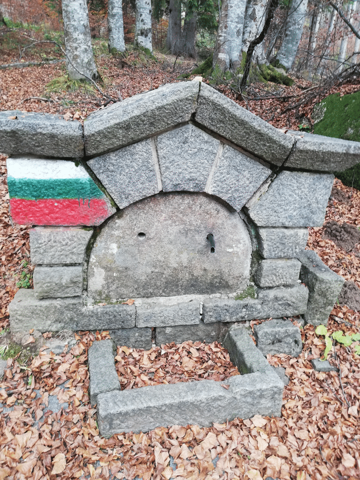 Възстановени са 11 чешми в Природен парк „Витоша“