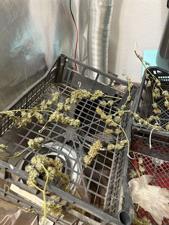 Криминалисти от столичното Пето РУ иззеха близо 7 килограма различни наркотици при успешна реализация