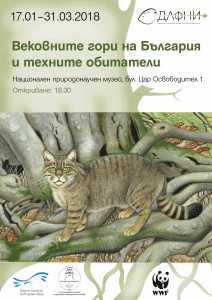Националният природонаучен музей представя изложбата „Вековните гори на България и техните обитатели”