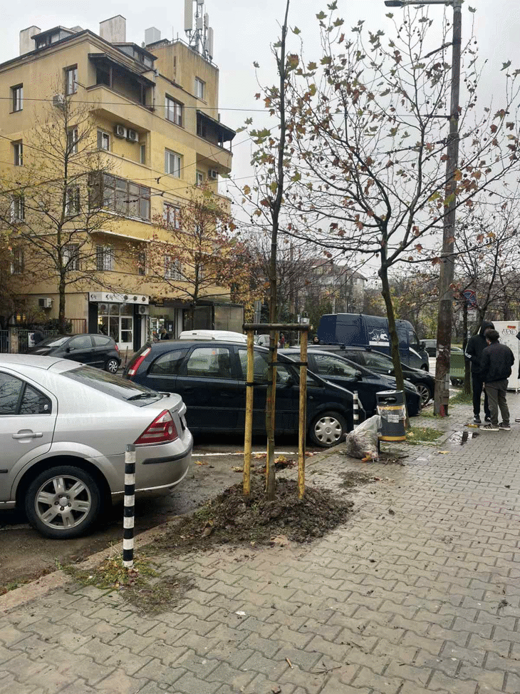 Над 1500 нови дръвчета засадиха В София тази есен