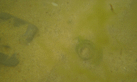 МО