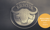 Биволъ