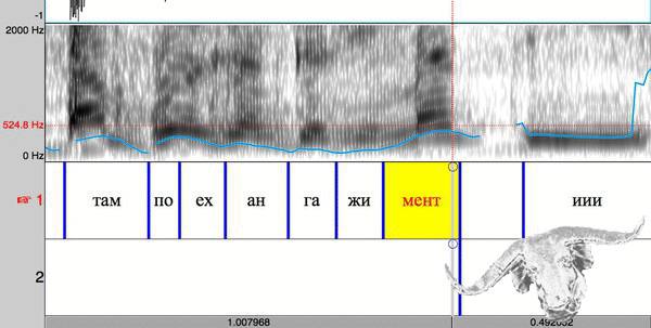 Записите са защитени срещу монтаж – защитата им не е нарушена