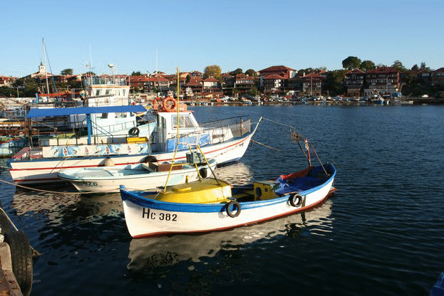 Над 1,6 км бракониерски мрежи са иззети при проверки на водоеми в страната