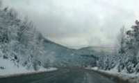 АПИ