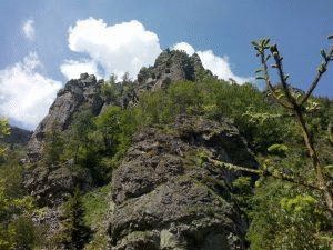 Министър Костова отменя решението си за екооценката на Плана за управление на НП „Пирин“