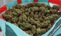МВР