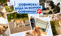 Софийска вода