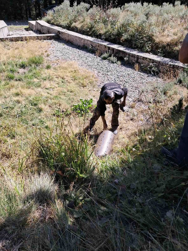 Национален парк „Рила“ и МВР с акция срещу незаконно подхранване на дива свиня