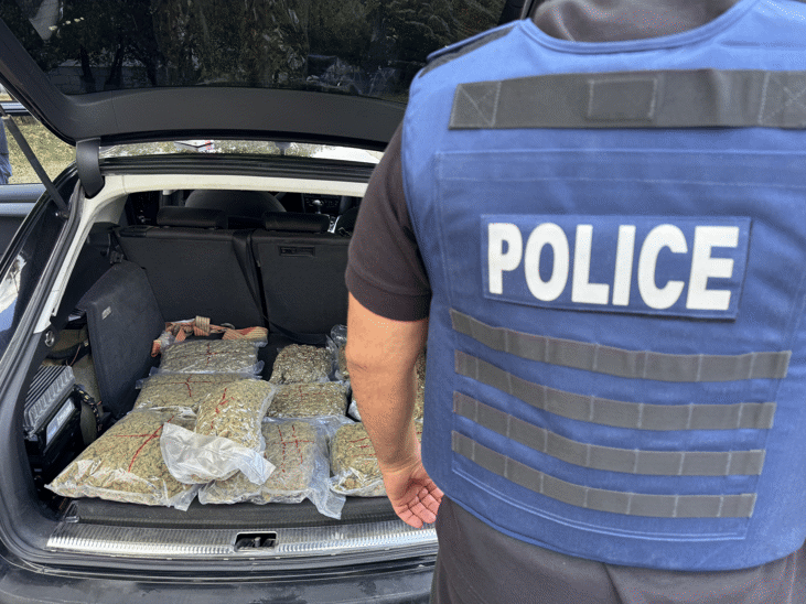 При две полицейски акции на Шесто РУ – СДВР са иззети над 10 килограма марихуана и други наркотици