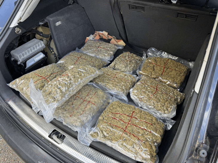 Софийска градска прокуратура привлече и задържа до 48 часа непълнолетен за държане с цел разпространение на близо 10 кг коноп