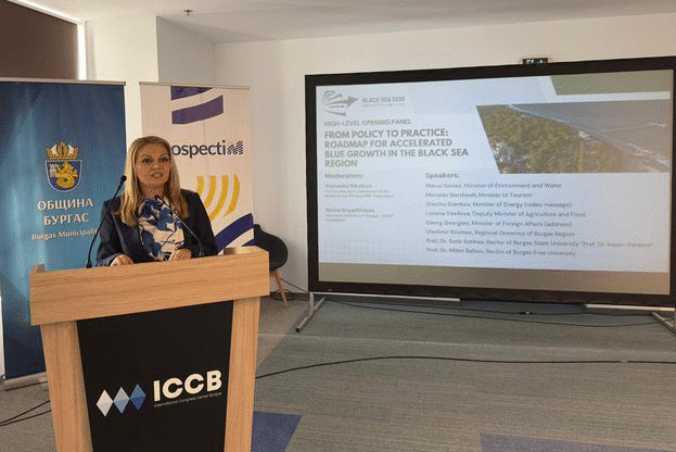 Заместник-министър д-р Лозана Василева: Черно море трябва да се превърне в модел за синя икономика