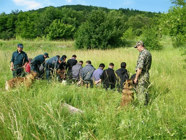 Гранични полицаи задържаха 14 нелегални имигранти северно от р. Резовска