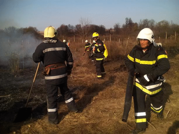 Пожарникари от България и Сърбия проведоха съвместно учение за гасене на горски пожари