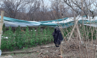 Прокуратурата